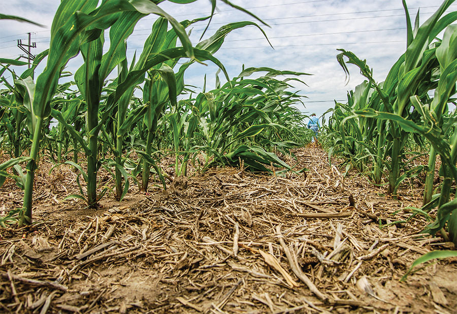Sowing Sustainability: Embracing the Benefits of No-Till Farming