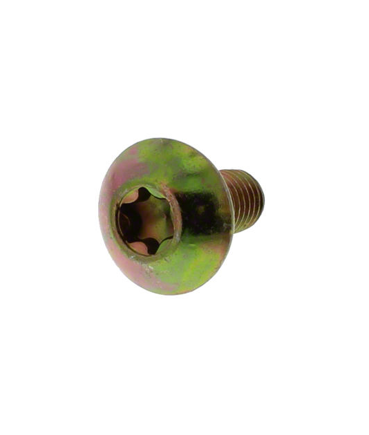 86615134-N -- Button Head Torx Bolt -- (Z-1225-TX)