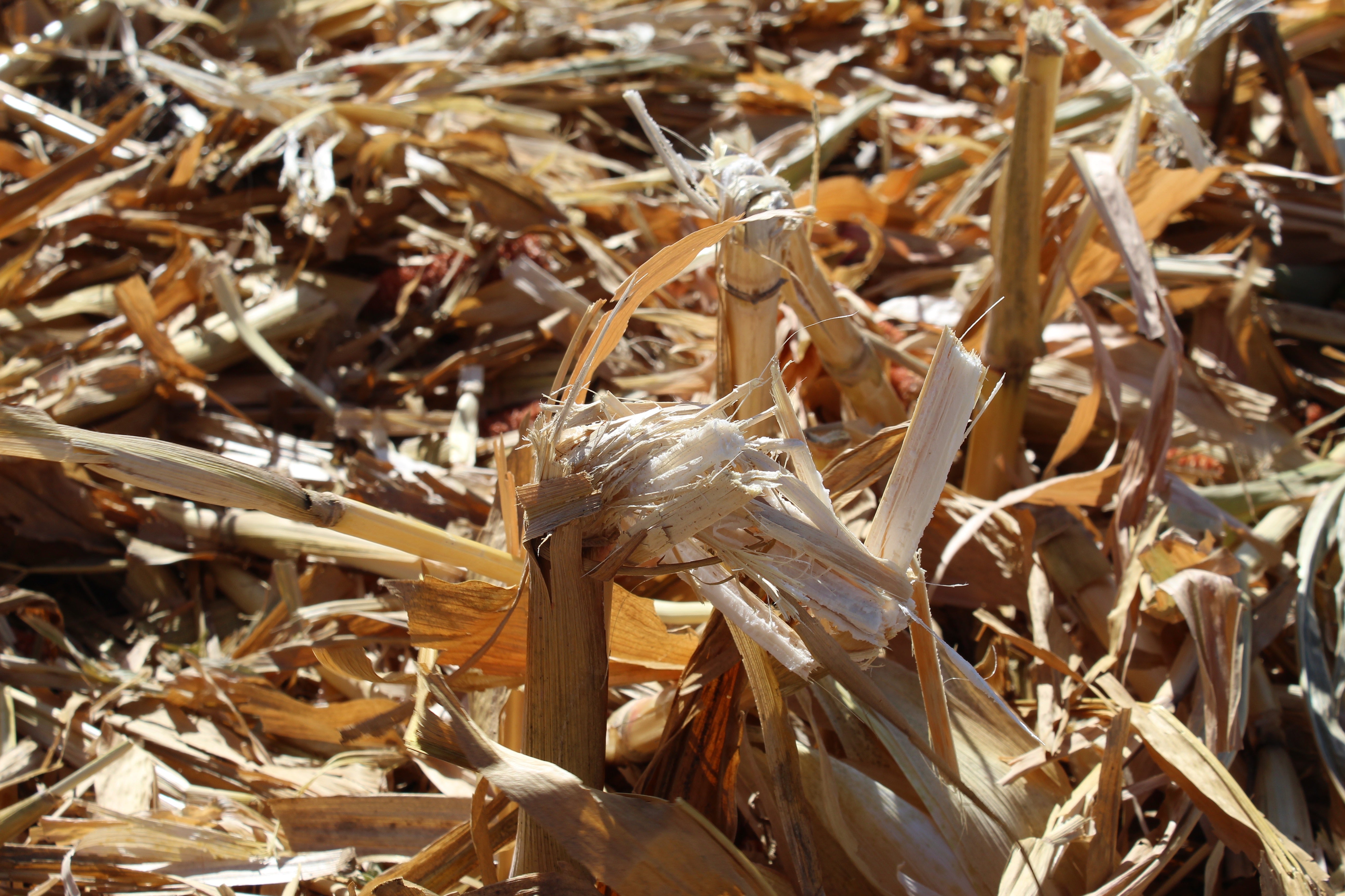 Maintenance: End of Harvest