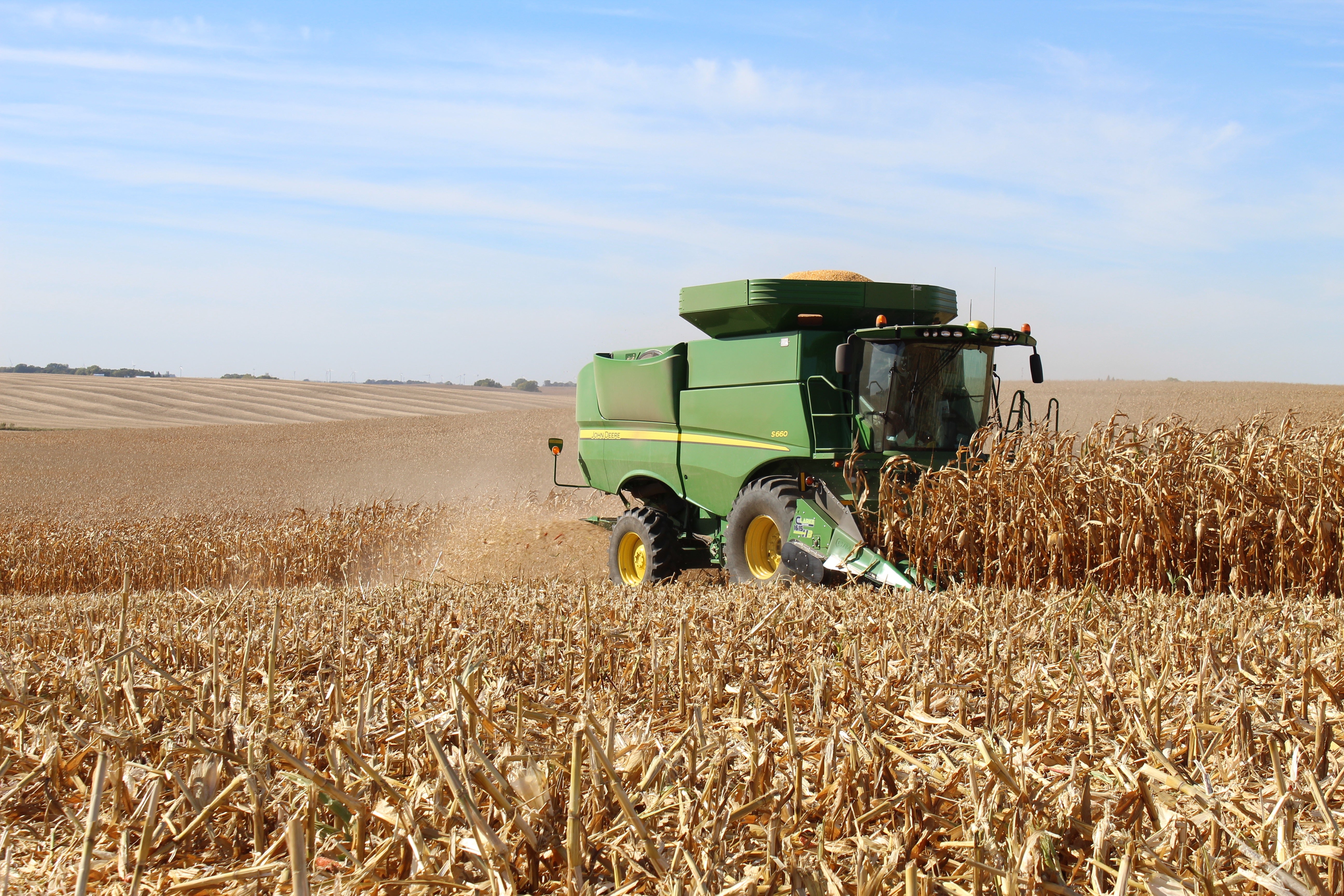 Maintenance: During Harvest