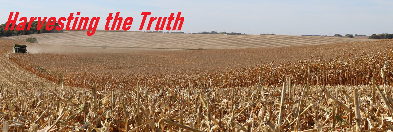 A partially harvested corn field while a combine harvests in the distance, with a title layered in red text saying 