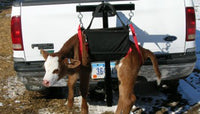 Thumbnail for HC4000 -- Hitch Mounted Calf Carrier